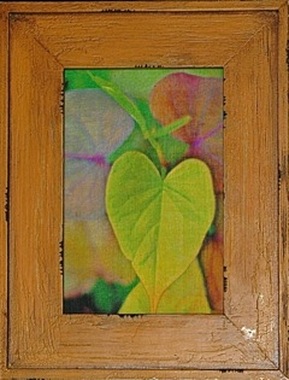 Photo of green heart-shaped leaf transferred to watercolor paper