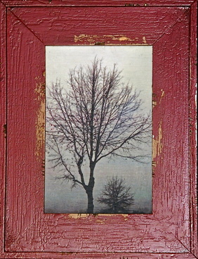 Framed photograph of tree on watercolor paper