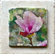 Photograph to tile transfers by Abbie Korman