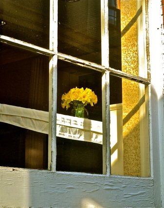 Colorful window with yellow flowers in Brookly, NY